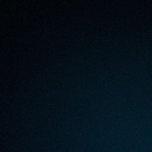 Meet your Posher, Donovan